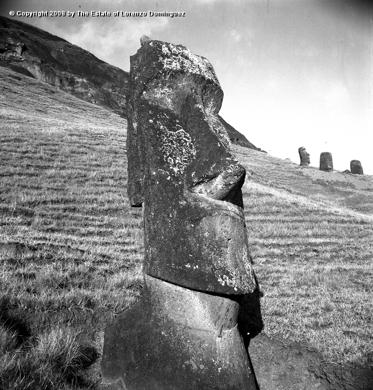 RRE_Angel_12.jpg - Easter Island. 1960. Moai on the exterior slope of Rano Raraku. Identified by Lorenzo Dominguez as "The Angel."